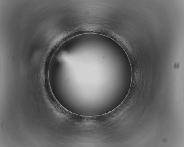 X0000094790682200711161434