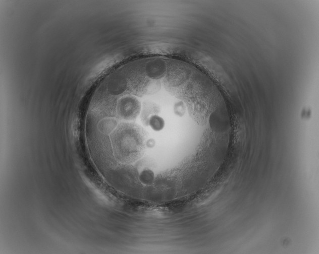 X0000094790683200711161434