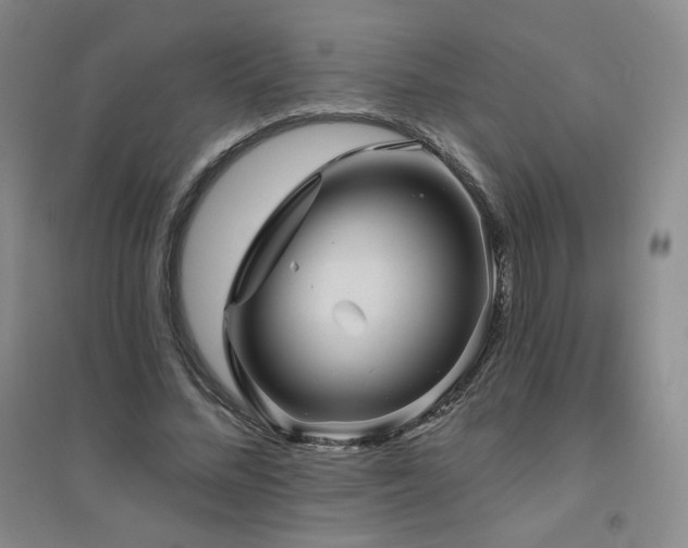 X0000094790684200711161434