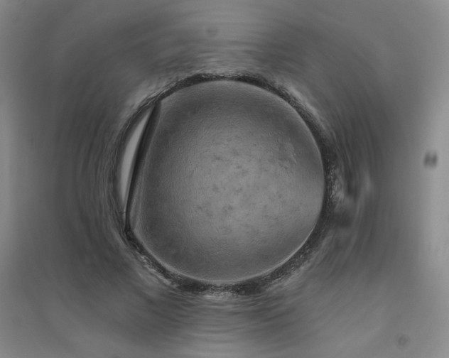 X0000094790685200711161434