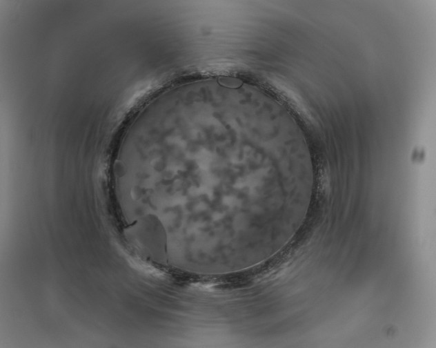 X0000094790687200711161434