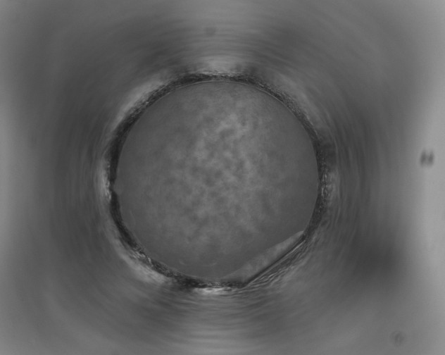 X0000094790688200711161434