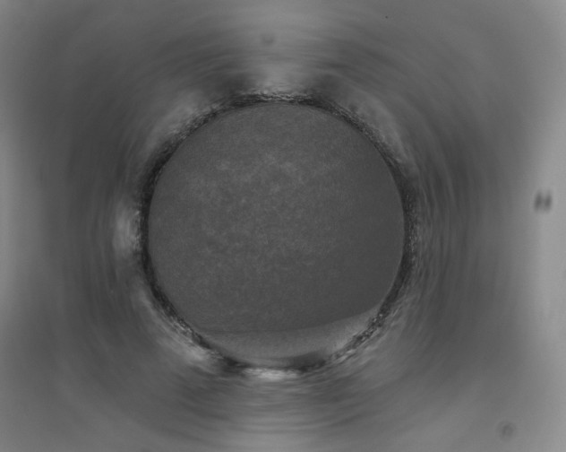 X0000094790689200711161434