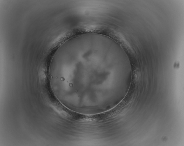 X0000094790691200711161434