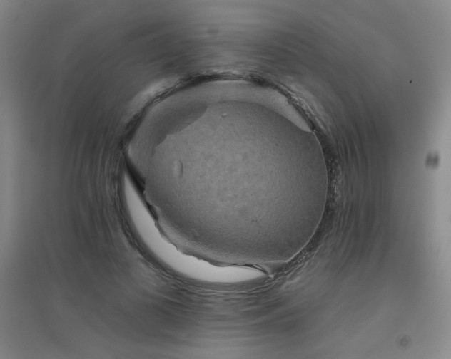 X0000094790693200711161434