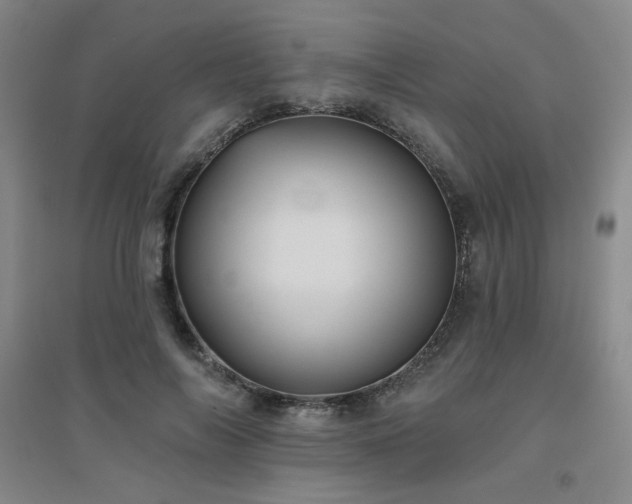 X0000094790694200711161434