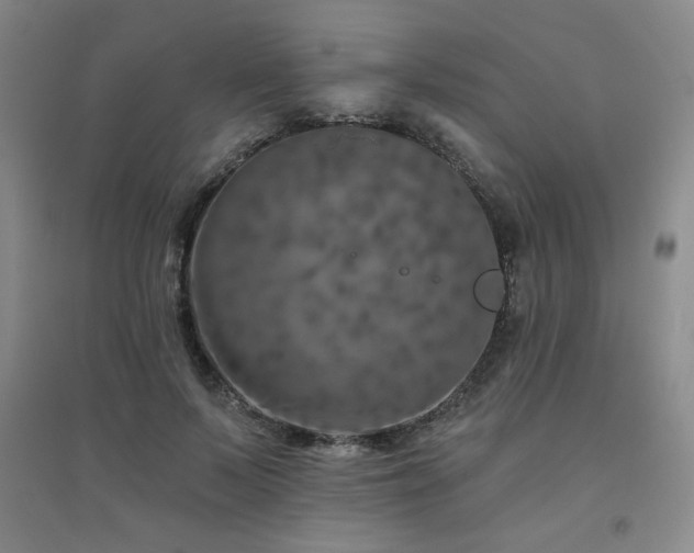 X0000094790695200711161434