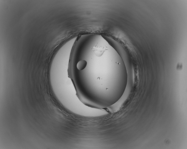 X0000094790696200711161434