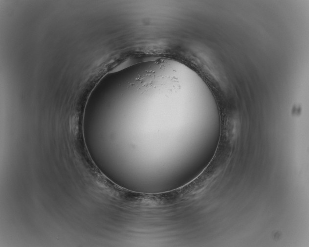 X0000094790697200711161433