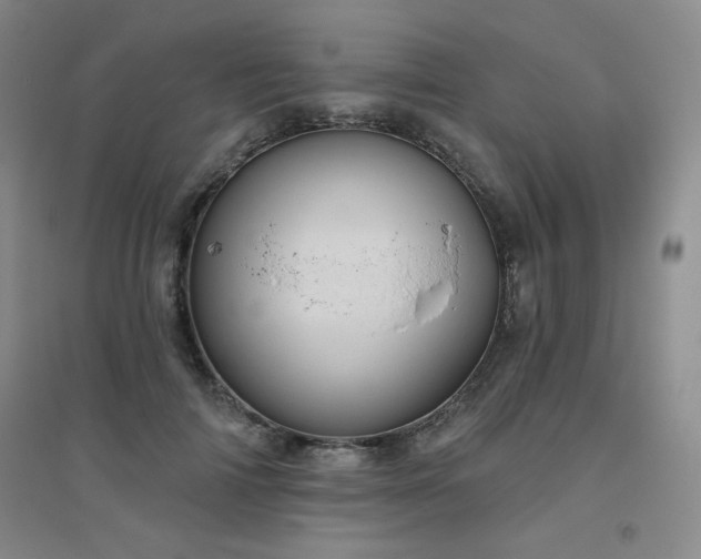 X0000094790698200711161433