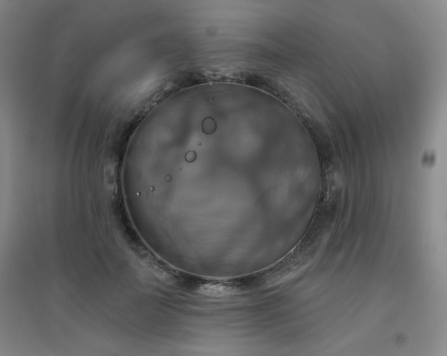 X0000094790699200711161433