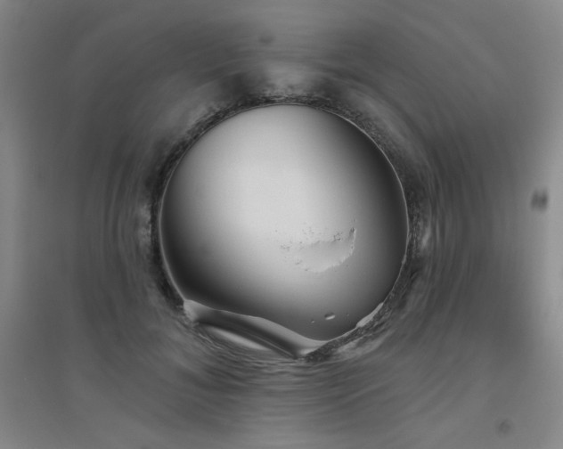X0000094790700200711161433