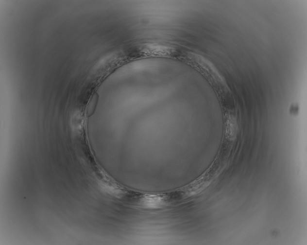 X0000094790701200711161433