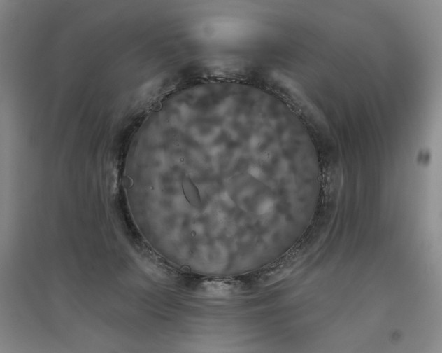 X0000094790703200711161433
