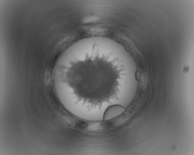X0000094790705200711161433