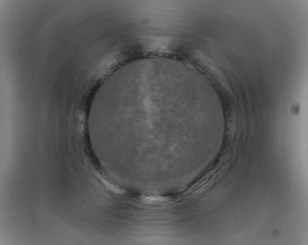X0000094790708200711161433