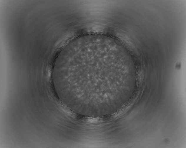 X0000094790709200711161433