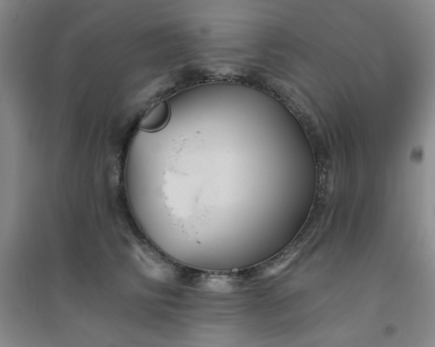 X0000094790710200711161433