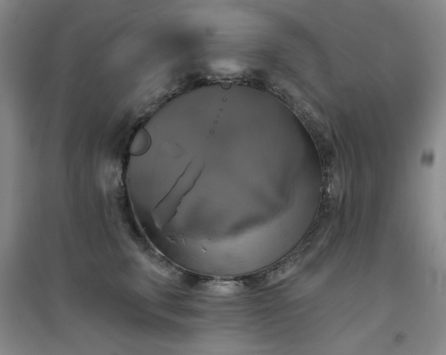 X0000094790711200711161433