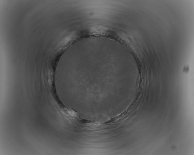 X0000094790712200711161433