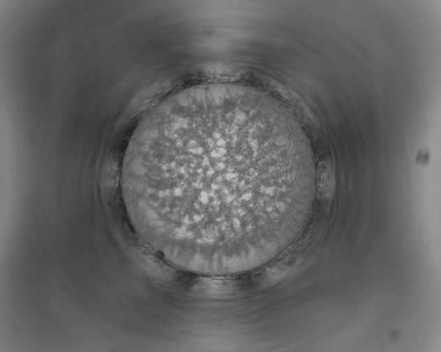 X0000094790713200711161433