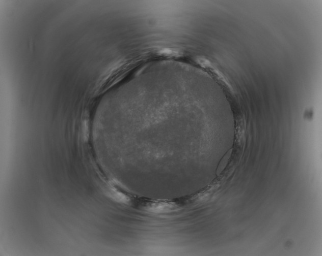 X0000094790716200711161433