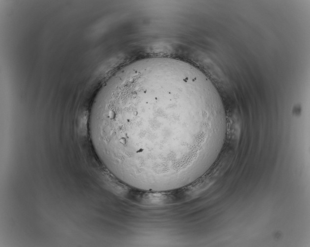 X0000094790717200711161433