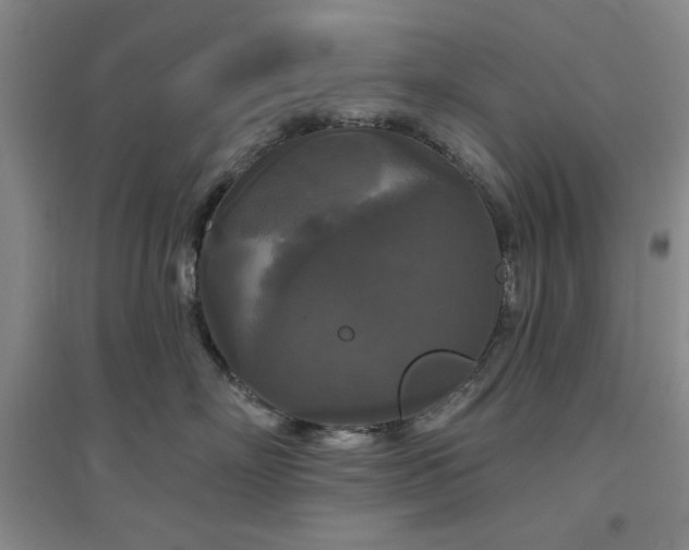 X0000094790718200711161433