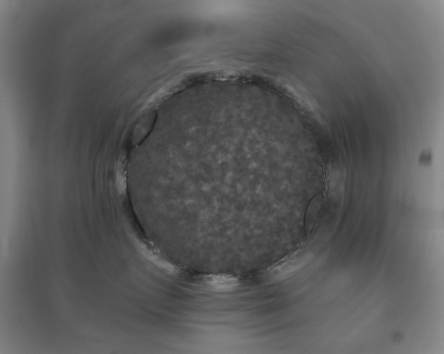 X0000094790719200711161433