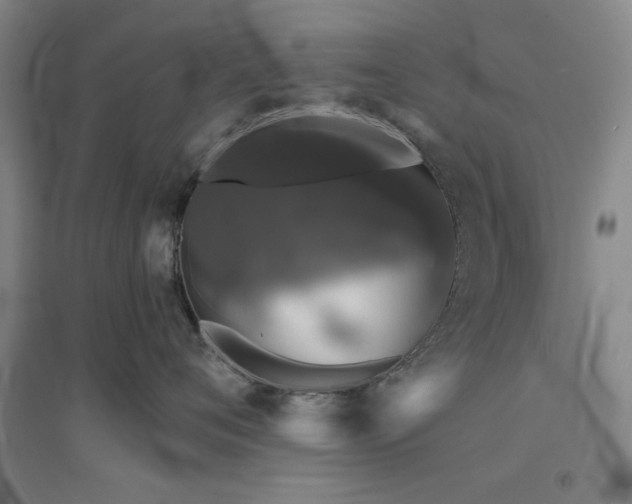 X0000094790720200711161433