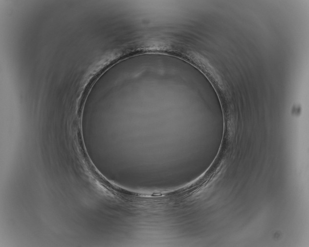 X0000094790721200711161433