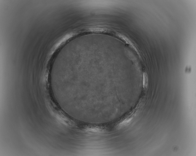 X0000094790723200711161433