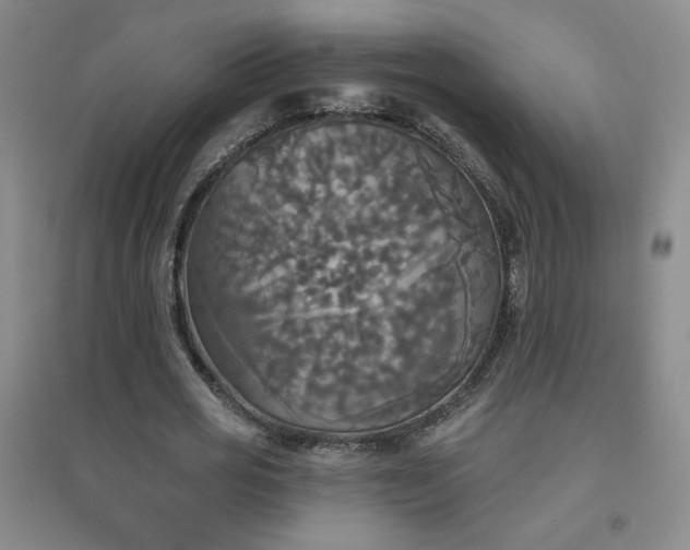 X0000094790725200711161433