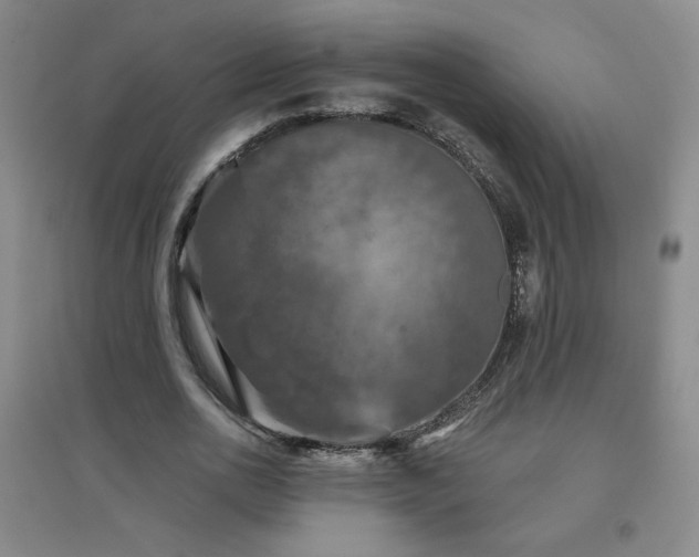 X0000094790726200711161433