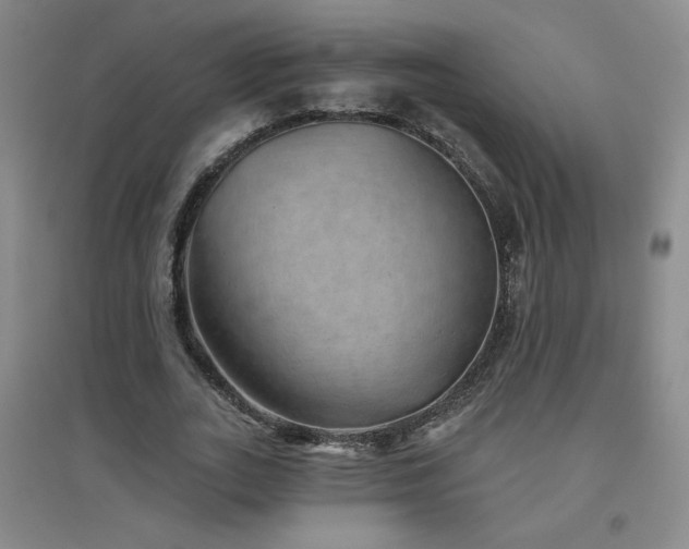 X0000094790727200711161433
