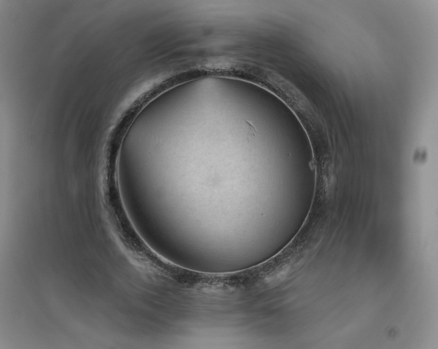 X0000094790728200711161433