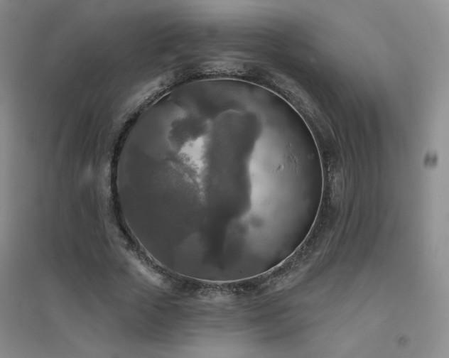 X0000094790729200711161433