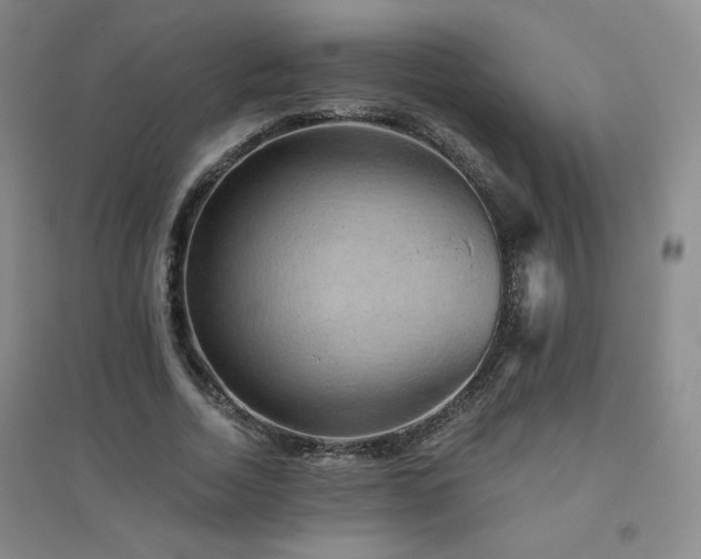 X0000094790730200711161433