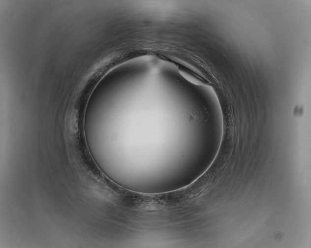 X0000094790731200711161433