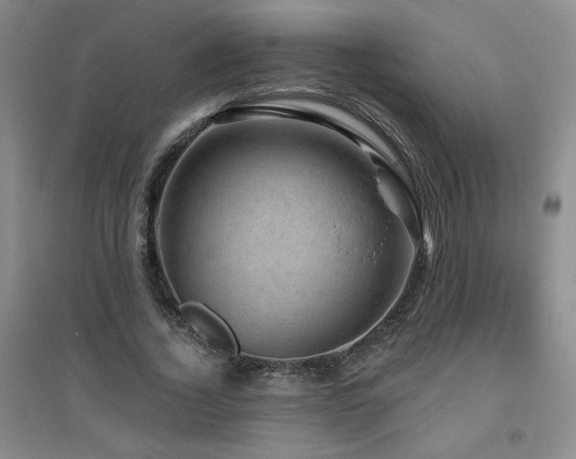 X0000094790732200711161433