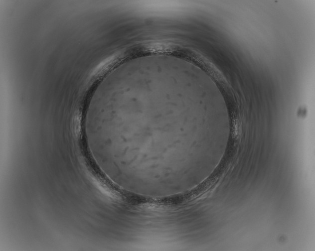 X0000094790733200711161433