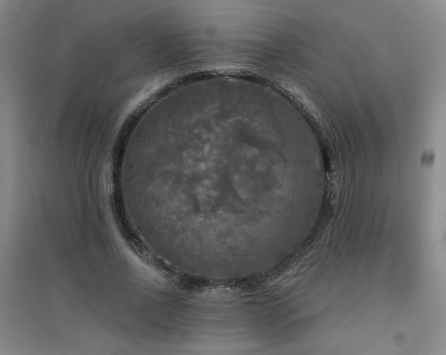 X0000094790734200711161433