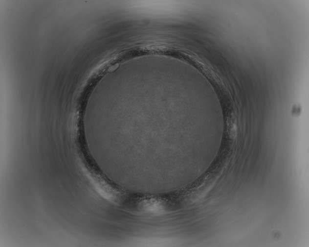 X0000094790735200711161433