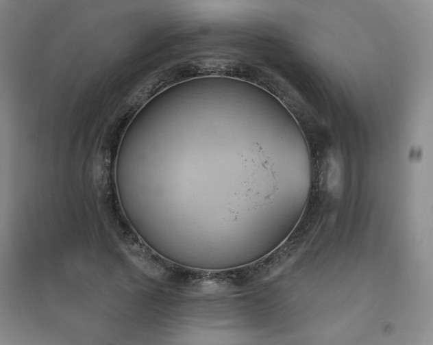 X0000094790737200711161433