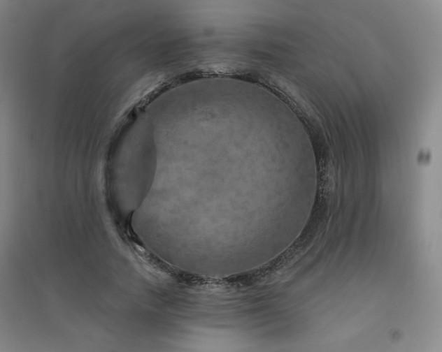 X0000094790738200711161433