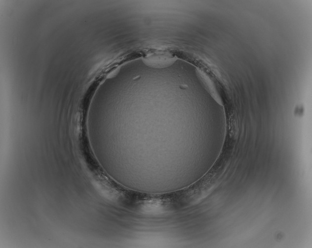 X0000094790740200711161433