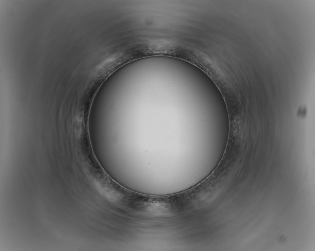 X0000094790741200711161433