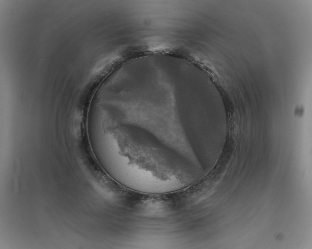 X0000094790742200711161433