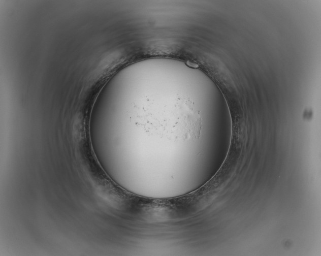 X0000094790743200711161433