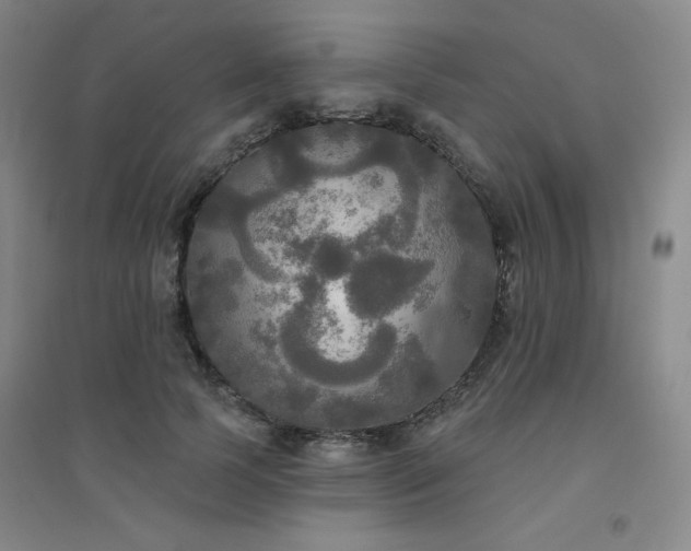 X0000094790745200711161433